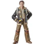 Star Wars: Skeleton Crew Black Series - Fern